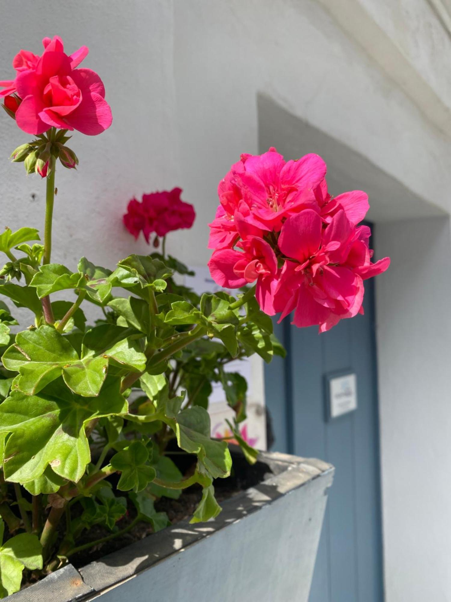 Victoria Seis Hotel Medina-Sidonia Exterior photo